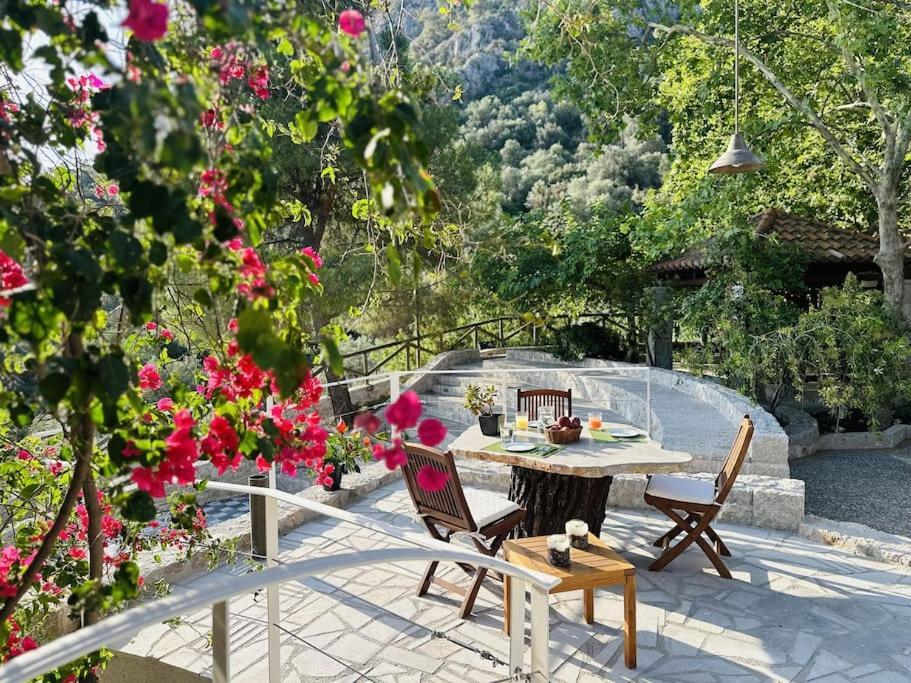 Elia Junior Suite In Epidavros With Shared Pool Nea Epidavros Exteriér fotografie